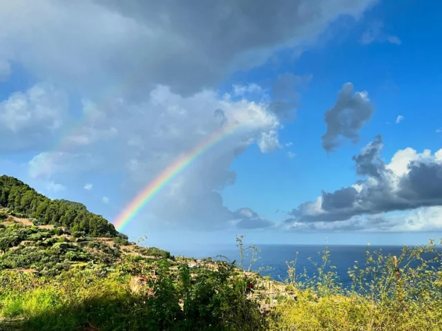 Este regalo tuvimos hoy en los desayunos de Can Busquets Mallorca y Doka Restaurante 🌈🙌🏻 
afortunadas somos !! 
@doka.restaurante 

We had this gift today at breakfast at Can Busquets Mallorca and Doka Restaurant
We’re so lucky !!
@doka.restaurante 
 
#banyalbufar #mallorca #desayuno #breakfast #breakfasttime